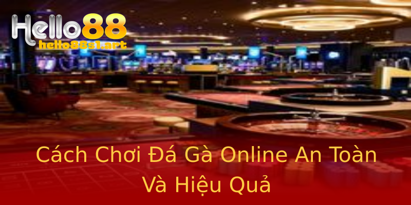 Cách Chơi Đá Gà Online An Toàn Và Hiệu Quả Cách Chơi Đá Gà Online An Toàn Và Hiệu Quả