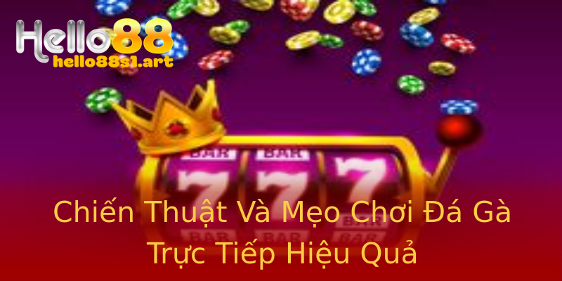 Chiến Thuật Và Mẹo Chơi Đá Gà Trực Tiếp Hiệu Quả Chiến Thuật Và Mẹo Chơi Đá Gà Trực Tiếp Hiệu Quả
