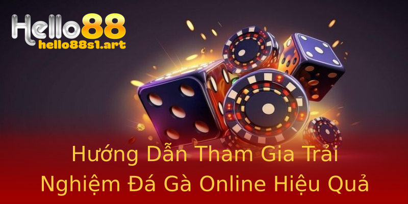 Hướng Dẫn Tham Gia Trải Nghiệm Đá Gà Online Hiệu Quả Hướng Dẫn Tham Gia Trải Nghiệm Đá Gà Online Hiệu Quả