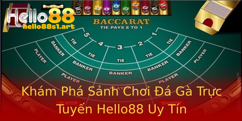 Khám Phá Sảnh Chơi Đá Gà Trực Tuyến Hello88 Uy Tín Khám Phá Sảnh Chơi Đá Gà Trực Tuyến Hello88 Uy Tín
