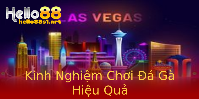 Kinh Nghiệm Chơi Đá Gà Hiệu Quả Kinh Nghiệm Chơi Đá Gà Hiệu Quả