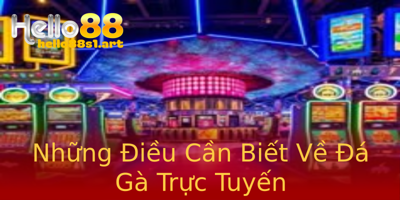 Những Điều Cần Biết Về Đá Gà Trực Tuyến Những Điều Cần Biết Về Đá Gà Trực Tuyến