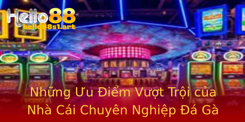 Những Ưu Điểm Vượt Trội của Nhà Cái Chuyên Nghiệp Đá Gà Những Ưu Điểm Vượt Trội của Nhà Cái Chuyên Nghiệp Đá Gà