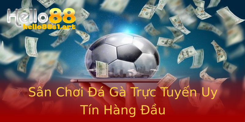 Sân Chơi Đá Gà Trực Tuyến Uy Tín Hàng Đầu Sân Chơi Đá Gà Trực Tuyến Uy Tín Hàng Đầu