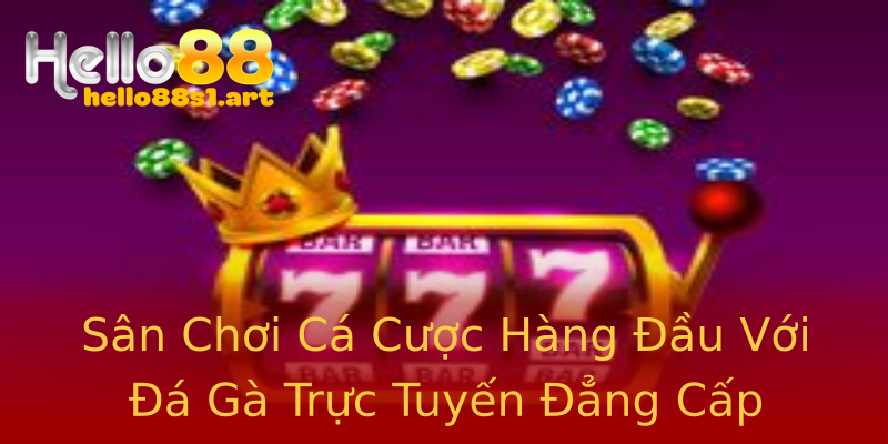 Sân Chơi Cá Cược Hàng Đầu Với Đá Gà Trực Tuyến Đẳng Cấp Sân Chơi Cá Cược Hàng Đầu Với Đá Gà Trực Tuyến Đẳng Cấp