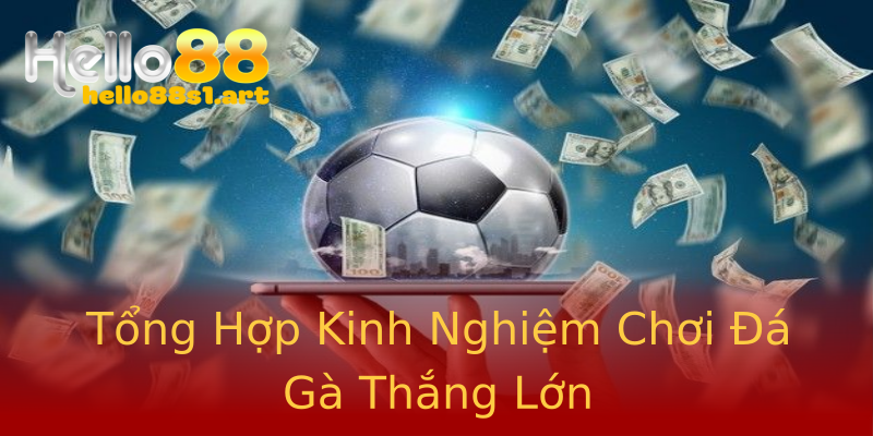 Tổng Hợp Kinh Nghiệm Chơi Đá Gà Thắng Lớn Tổng Hợp Kinh Nghiệm Chơi Đá Gà Thắng Lớn