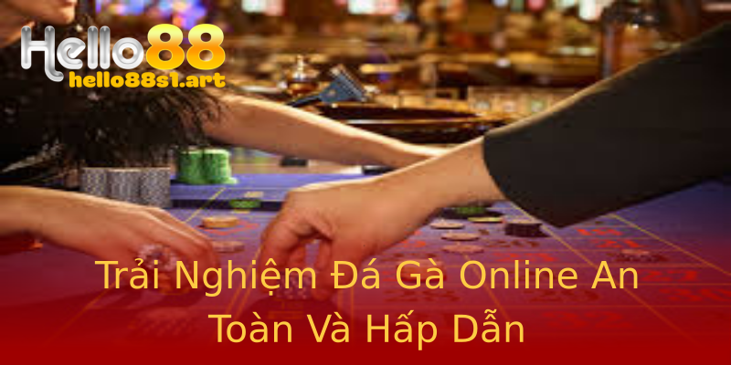 Trải Nghiệm Đá Gà Online An Toàn Và Hấp Dẫn Trải Nghiệm Đá Gà Online An Toàn Và Hấp Dẫn