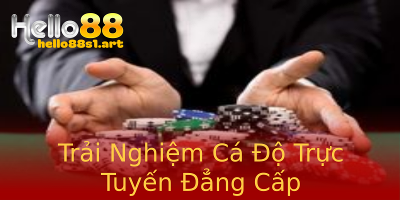 Trải Nghiệm Cá Độ Trực Tuyến Đẳng Cấp Trải Nghiệm Cá Độ Trực Tuyến Đẳng Cấp
